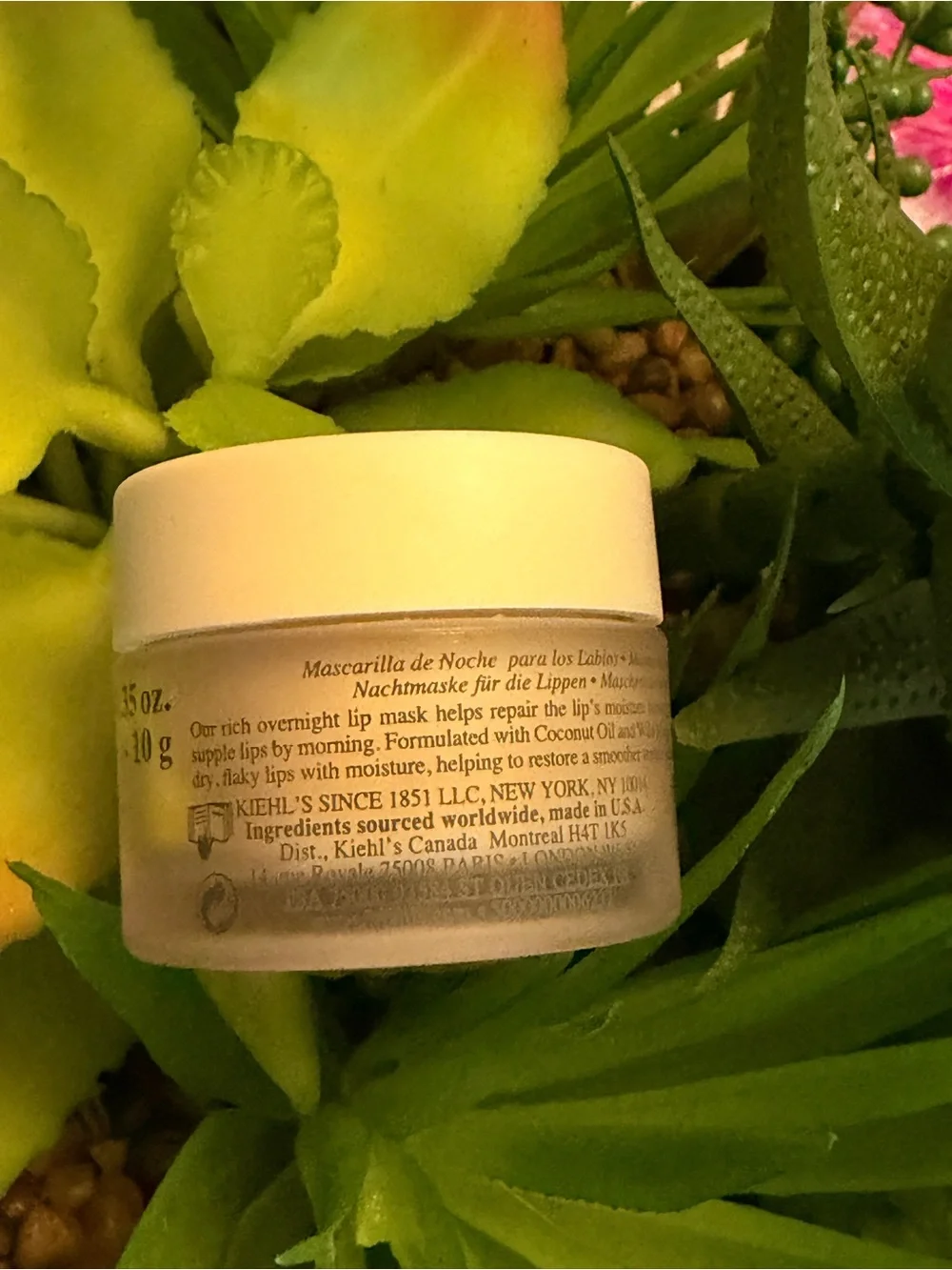 Kiehl's Buttermask-overnight lips treatment-with Coconut Oil & Wild Mango Butter